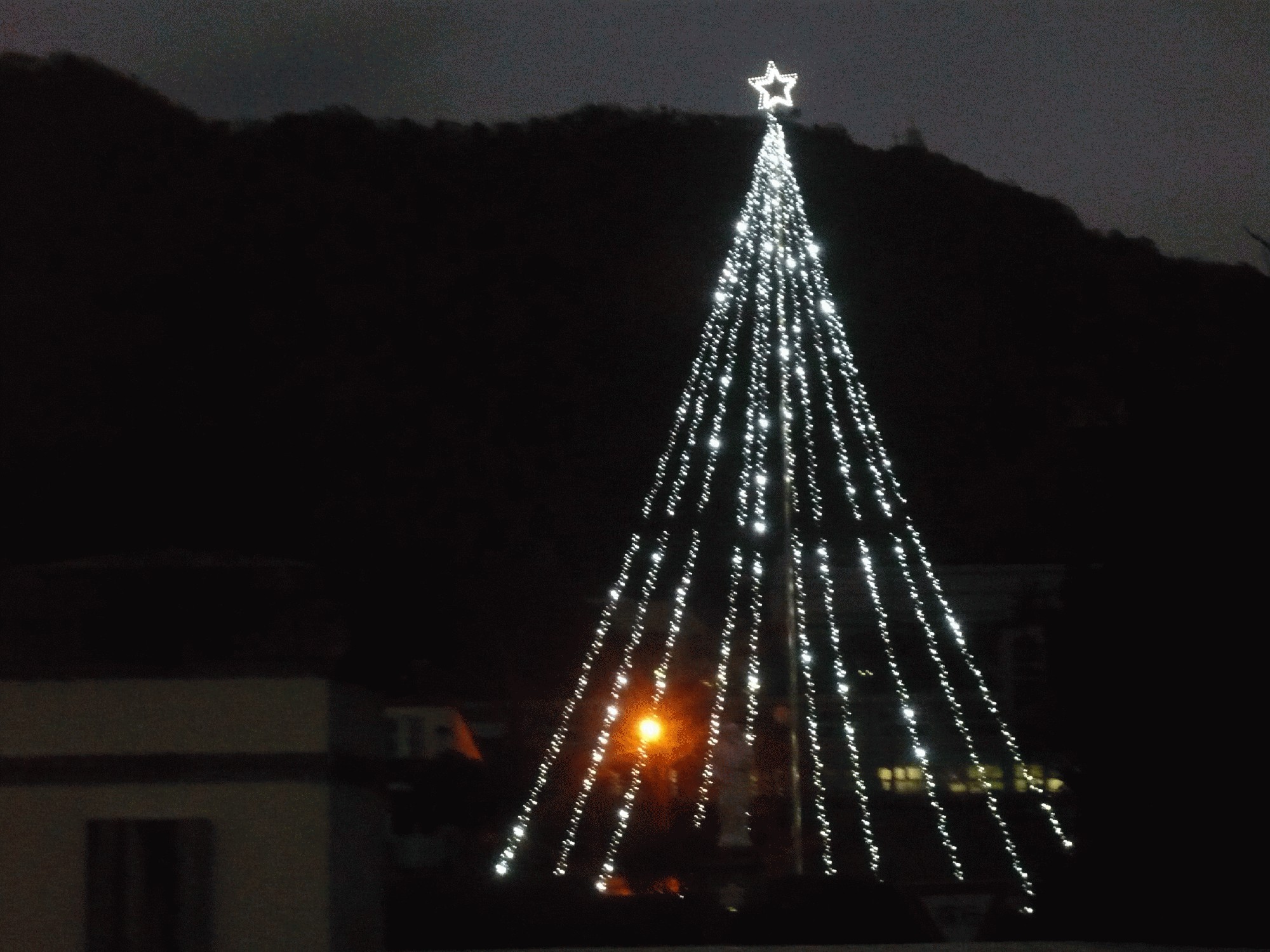 ２０１７年１２月４日 月 クリスマスツリーイルミネーション点灯 学校法人聖ヨゼフ学園 舞鶴聖母幼稚園